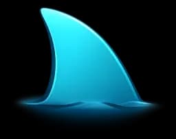 Shark Fin